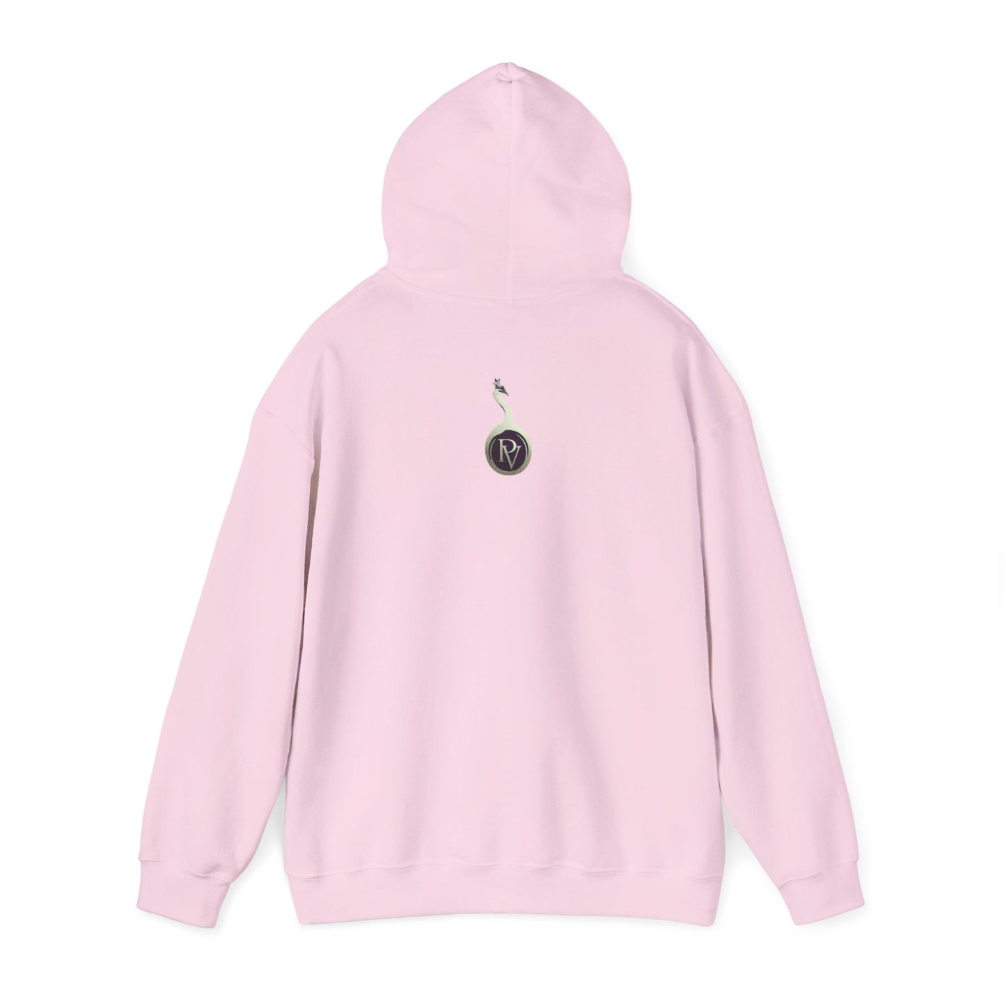 Unisex Hooded - Racing DNA